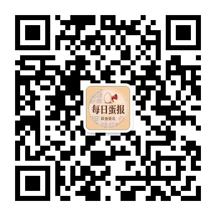 公众号「每日蛋报」二维码